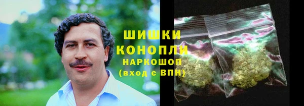 прущие грибы Абинск