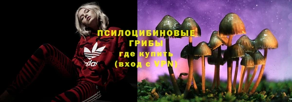 стафф Алексин