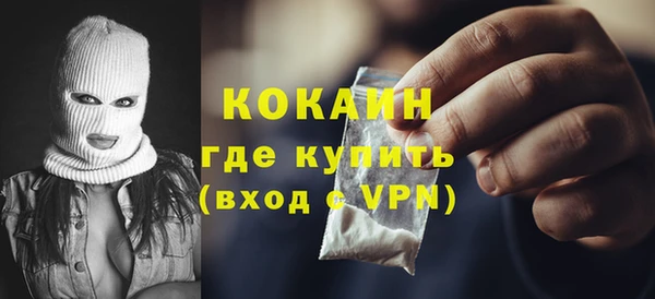 стафф Алексин