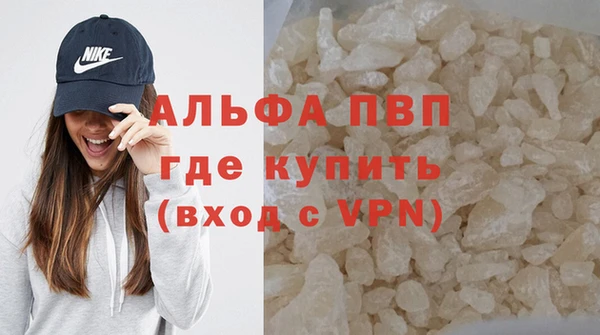 стафф Алексин