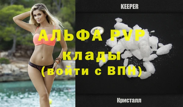 стафф Алексин