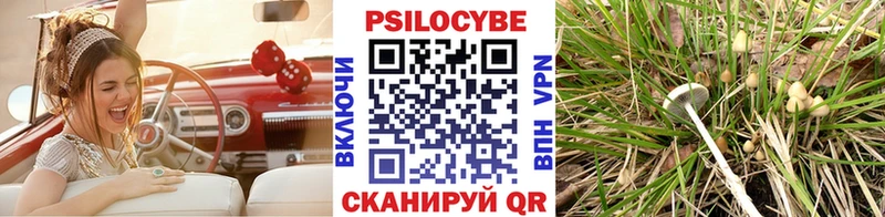 Псилоцибиновые грибы мицелий  Талдом 